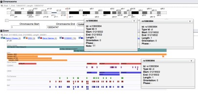 My Genome plus Mom's and Dad's