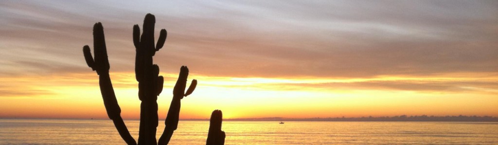 Personal Genomics Zone [Letter to&nbsp;readers]