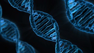 dna-163466__180