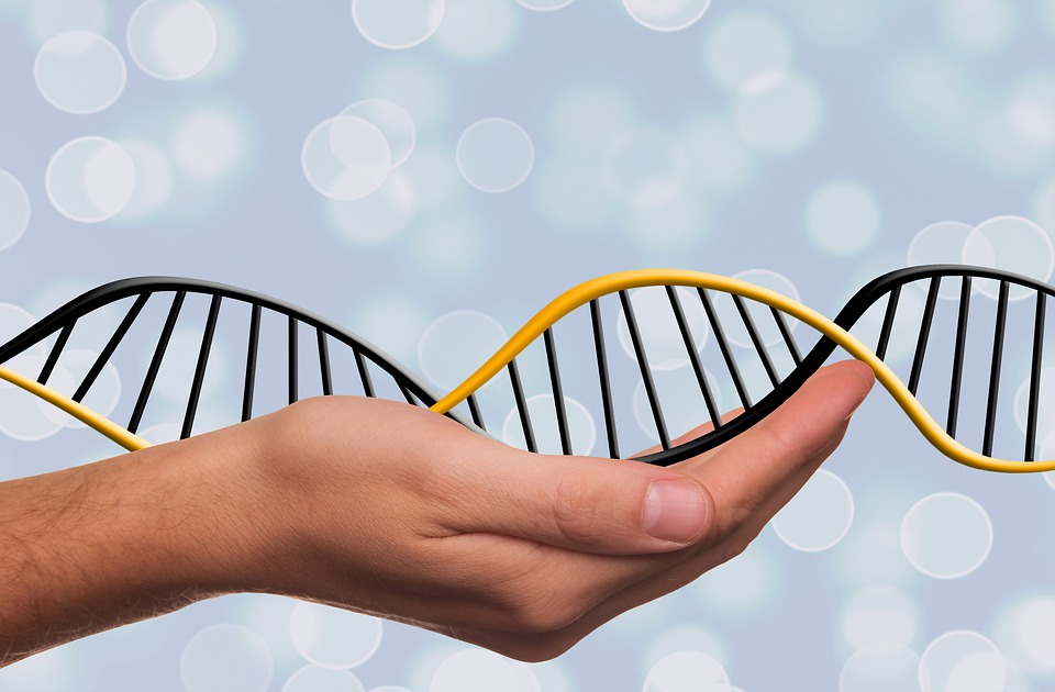 Personal Genomics Worrisome Incapacity to Deliver Tangible&nbsp;Goods