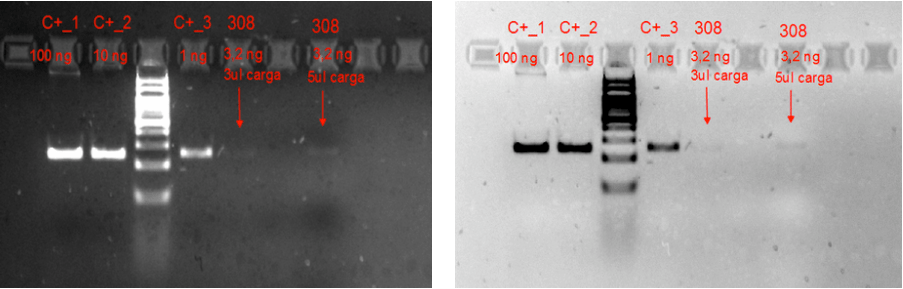 Screen Shot 2017-08-15 at 17.13.05